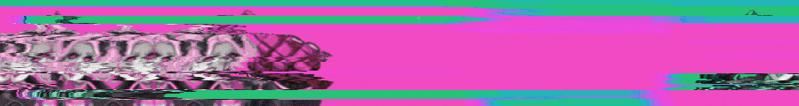 900x120-min.gif